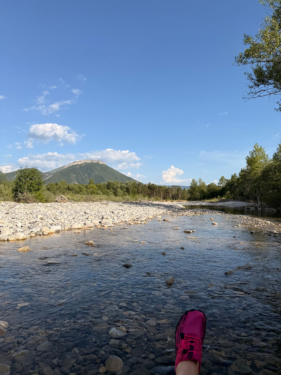 Spot Bivouac canin