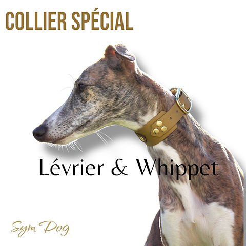Pendentif Lévrier Whippet / Greyhound - Plaqué Or - Unisexe - Marque LW