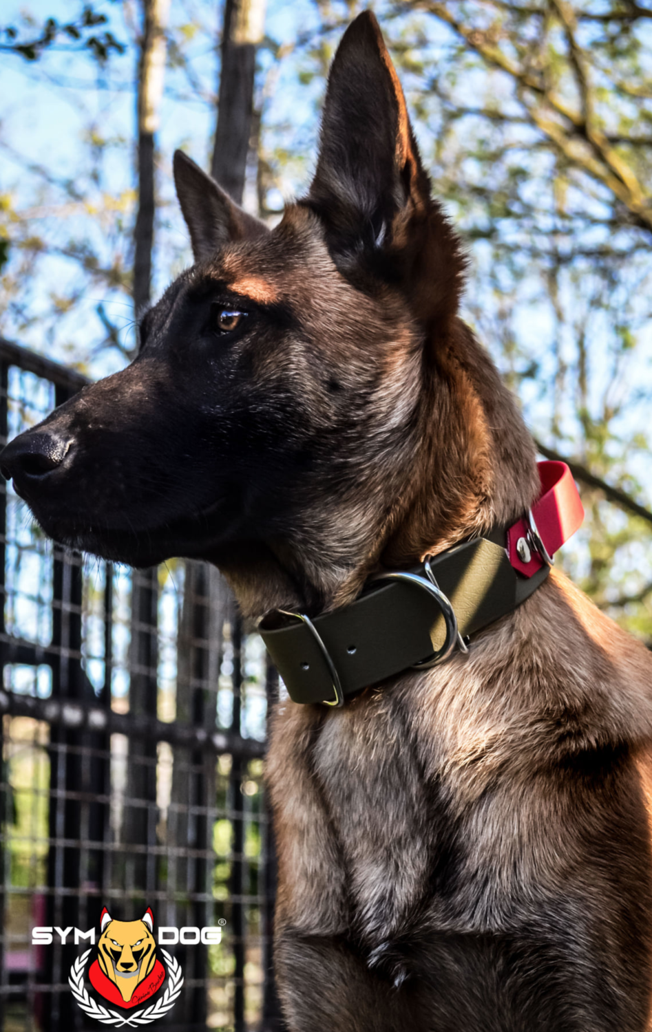 Miniature : Collier URBAN - Large