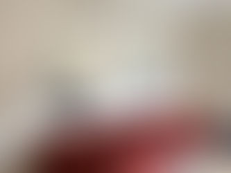 High-End Venetian Plaster Work in NYC Condo