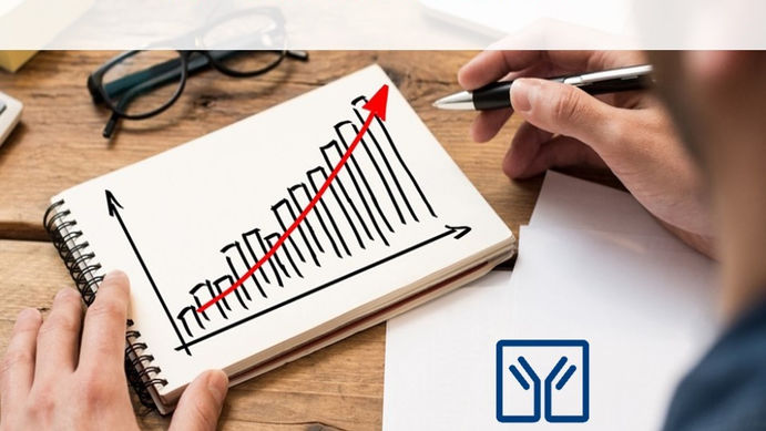 Plan Financiero Emergente