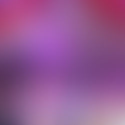 Märchenhaftes Programm: Unser Weiberfasching im Weida-Land