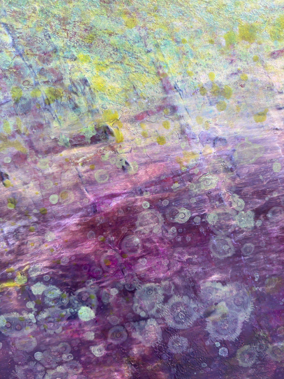 Thumbnail: Fields Remember