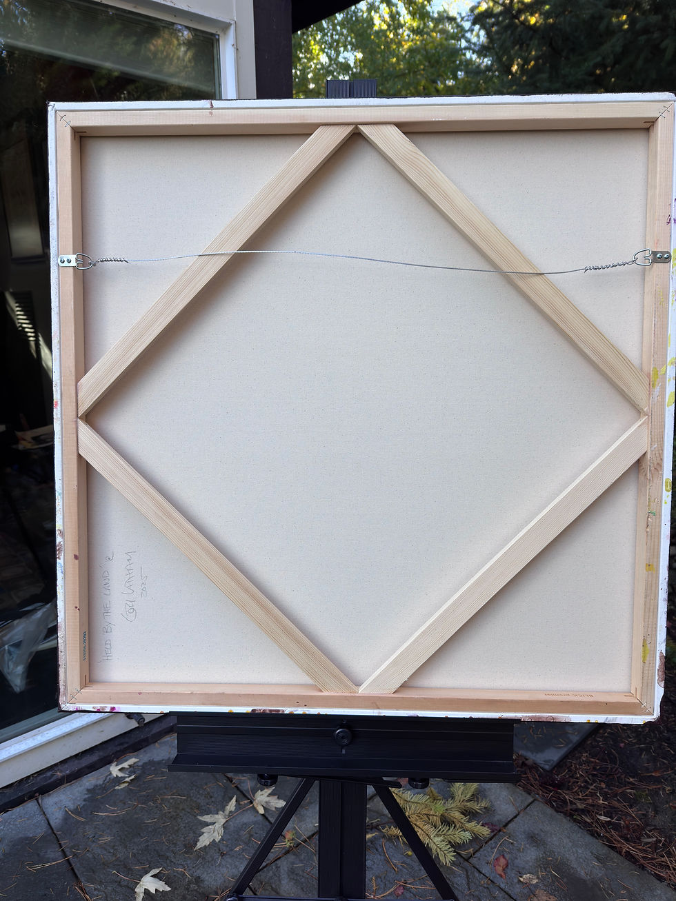 Thumbnail: Fields Remember