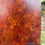 Thumbnail: Autumn Arrival