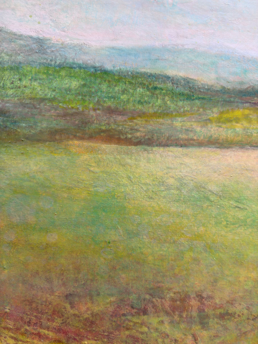 Thumbnail: Fields Remember