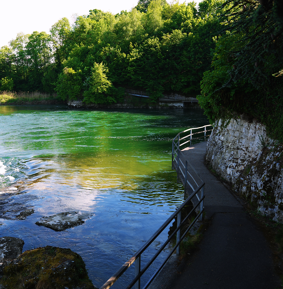 olten_10
