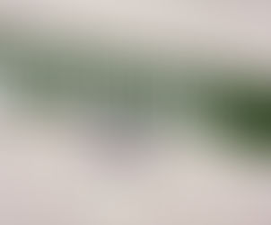 Turning around a dysfunctional team