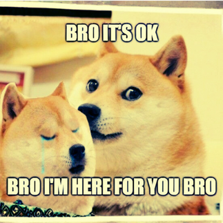 Dos Doges en escena empática: uno llorando y el otro abrazándolo, con texto “Bro it’s ok” y “Bro I’m here for you bro”, típico formato de apoyo humorístico.