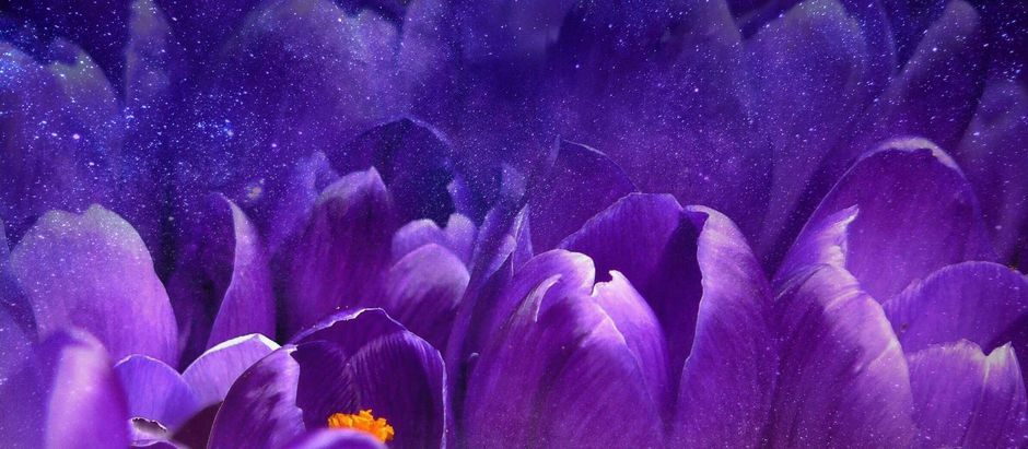 TENDENCIA. LOS COLORES DE LA PRIMAVERA 2018