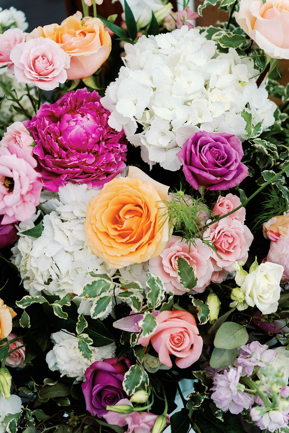 ThePippins-0965_websize