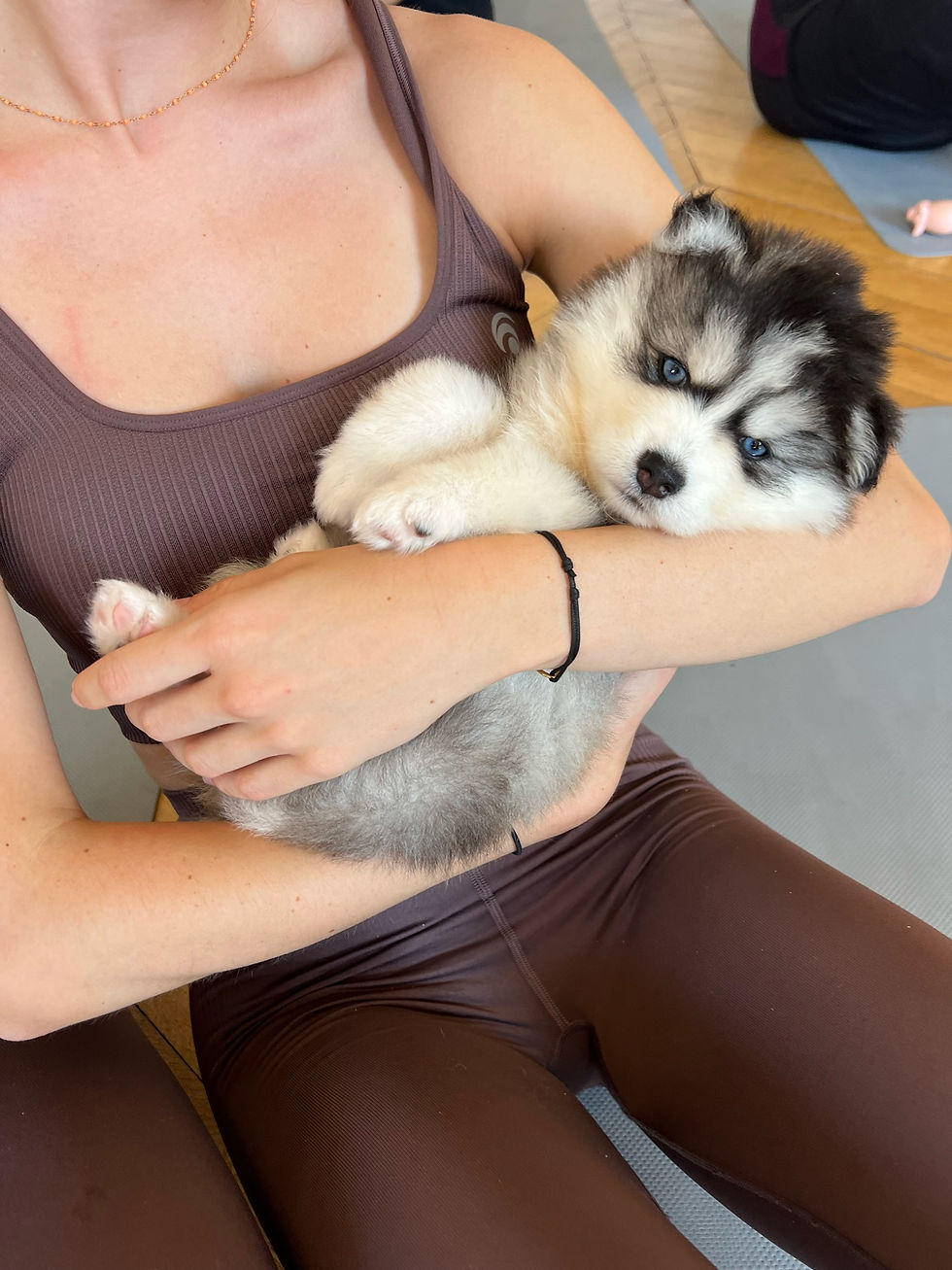 PUPPY YOGA PARIS 🐶, 17h