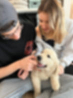 PUPPY YOGA PARIS 🐶, 16h