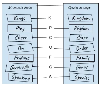 Figure 2. An R-channel jig used to memorize using a mnemonic device.