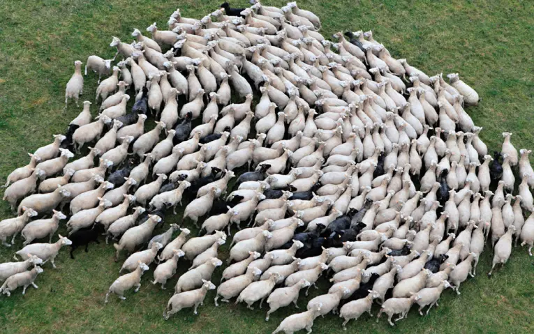 Figure 2.10: Example of CAS