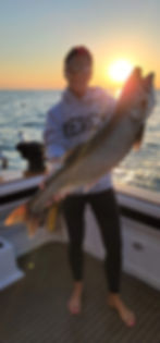 A Lake Ontario dinosaur. Trophy Lake Trout. Reel Action Charters - Lake Ontario - Rochester, NY