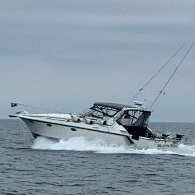 The Reel Action III - Lake Ontario Salmon Fishing