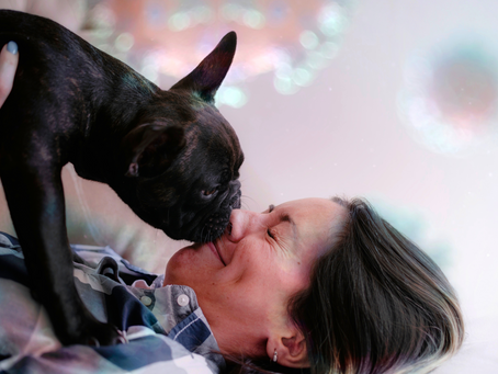 RECOMENDACIONES QUE DEBES SEGUIR PARA CUIDAR DE TU MASCOTA ANTE EL COVID-19