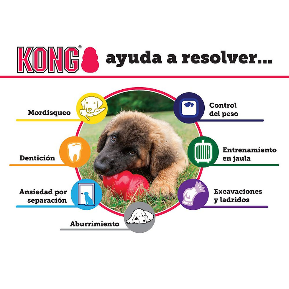 Miniatura: Kong classic