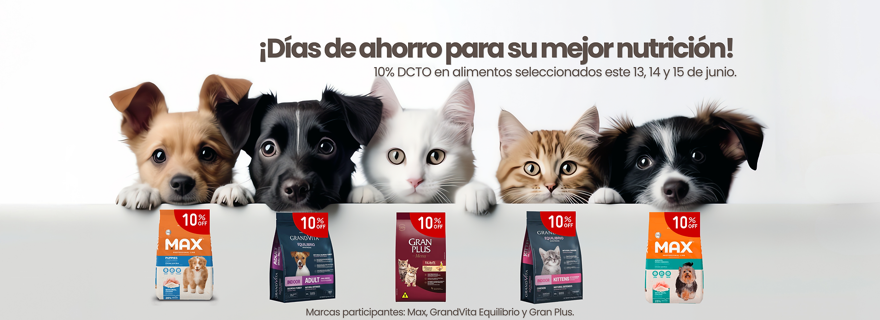 Oferta descuento en alimento concentrado marcas max max vita grandvita equilibrio gran plu