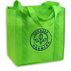 eco-bolsa