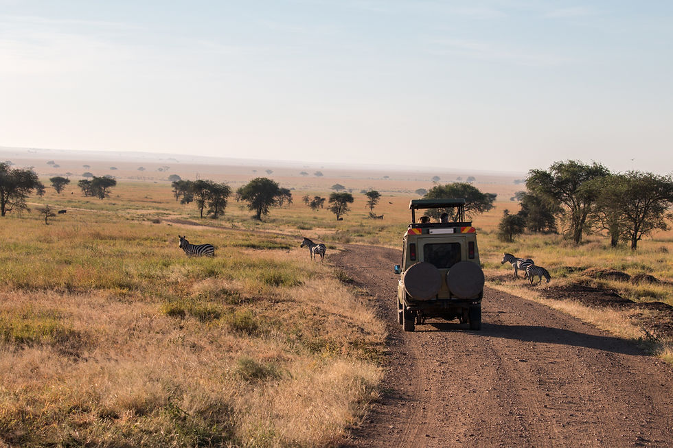 Safari Tipping: A Rough Guide