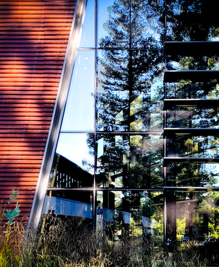 280 BERNARDO, MOUNTAIN VIEW, CLIFFORD CHANG ARCHITECTURE 04