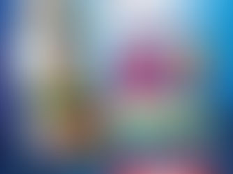 ബോബി ചെമ്മണൂര് ഇന്റര്നാഷണല് ജ്വല്ലേഴ്സ് ഇനി പാലായിലും