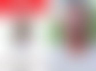 കൊച്ചിയിൽ കാല് കുത്തിയതേ ഓർമ്മയുള്ളൂ, വിമാനത്താവളത്തിൽ നിന്നും കയ്യോടെ പിടികൂടി എൻഐഎ ; പോപ്പുലർ ഫ്രണ്ട് ഭീകരൻ അറസ്റ്റിൽ