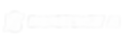 Sanctuary AI logo