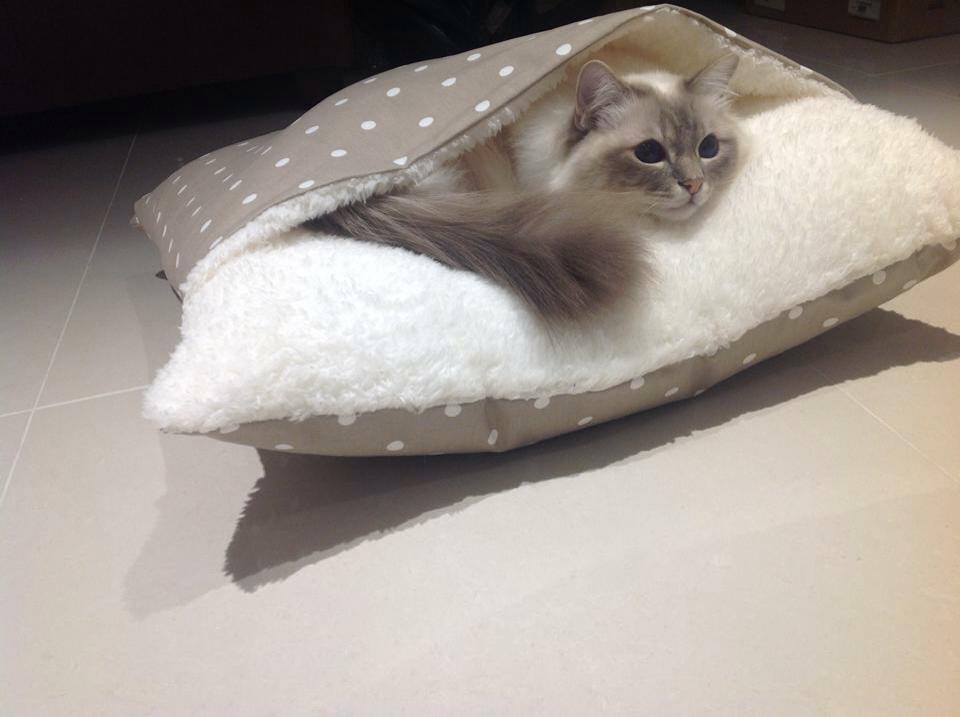 Dotty Taupe Snuggle Bed