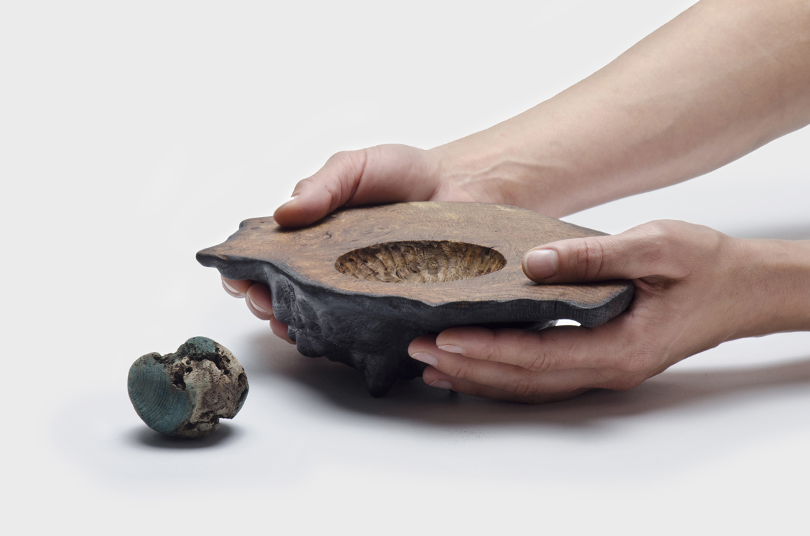 Decay objects | thewholeelements