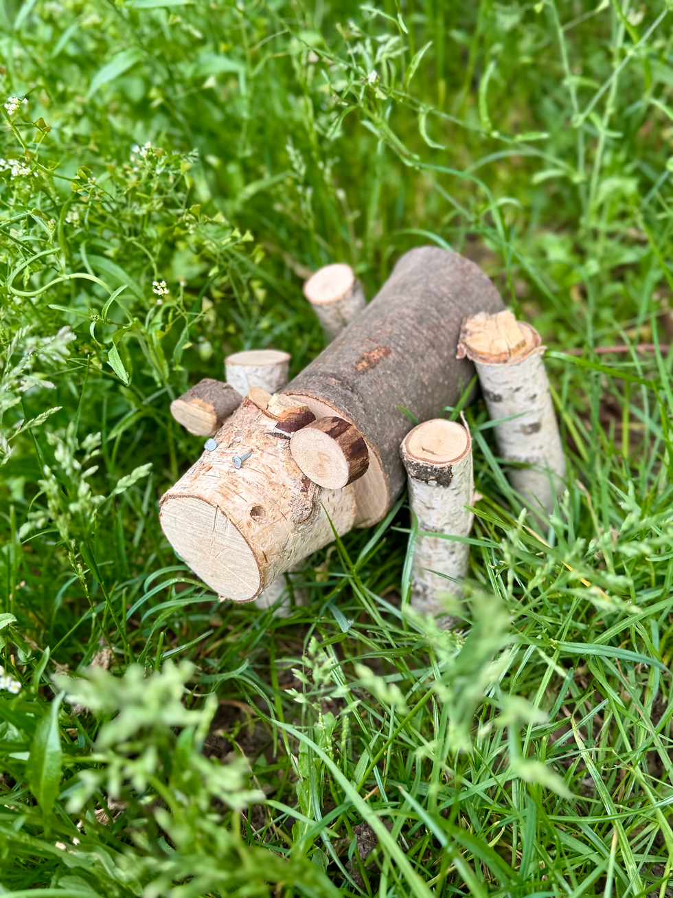 Miniatura: Wśród dzikiej przyrody, 11.07.2026