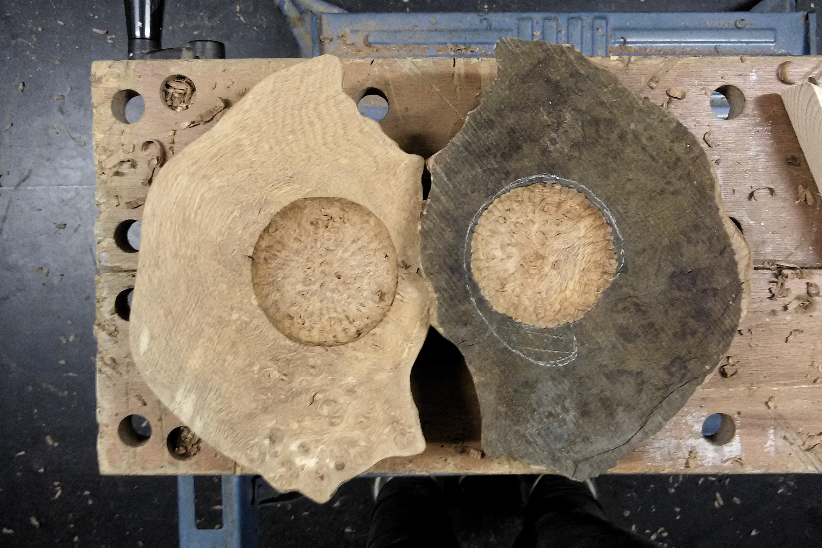 Decay Process thewholeelements