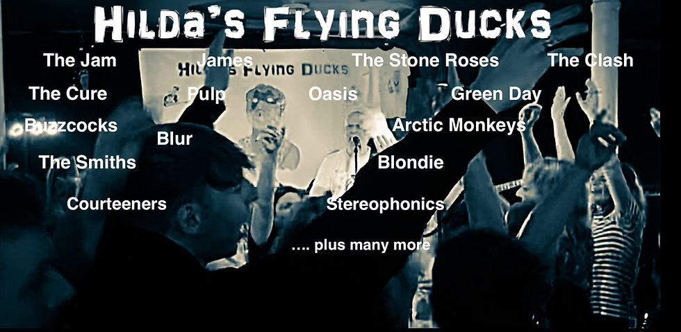 HILDA'S FLYING DUCKS