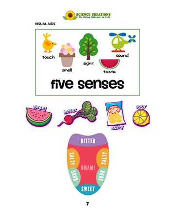 4-Sample Lesson Plan-Five Senses (page 7)