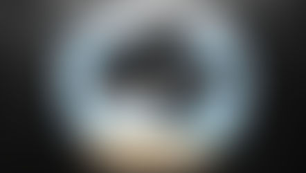 Illustrazione di un'orca in acquario troppo piccolo per contenerla