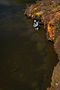 _MG_087 baja.jpg
