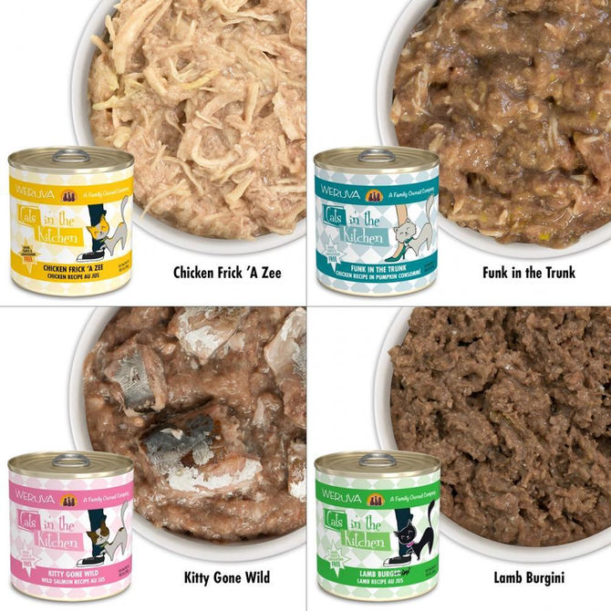 The Benefits of Canned Food for Cats: