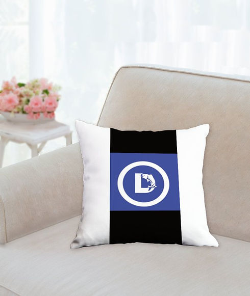 Pillow (14x14).jpg