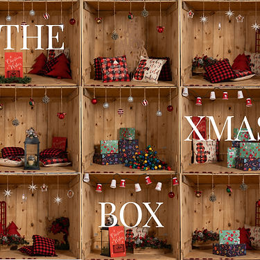 Instagram Story TXB_edited.jpg