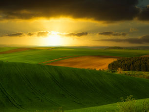 Watching the Sun Rise by Allison Bartlette
