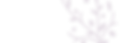 Header_Image.png