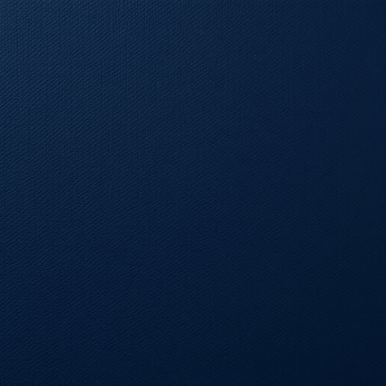 dark navy grain texture.jpg