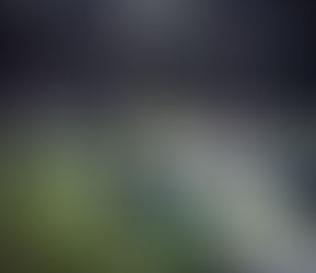 BODENPROJEKT WILDERMIEMING