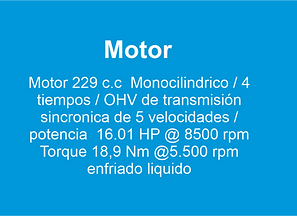mot zs250_edited.png