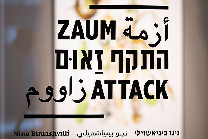התקף זאום-5511 copy.jpg
