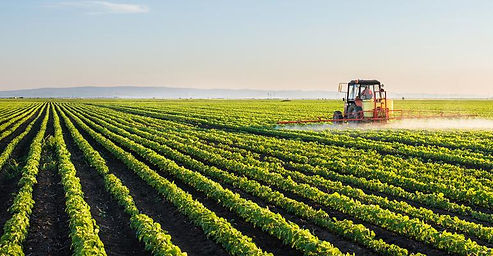 Seguro Agronegócio. Agricola.