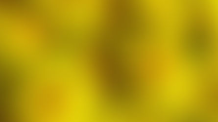 Dandelions are a Free Super Food!