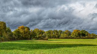 Navigating Seasonal Changes: Health Tips from Traditional Chinese Medicine